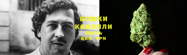 твердый Корсаков
