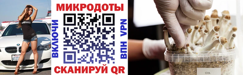 Псилоцибиновые грибы мицелий  Ленинградская 